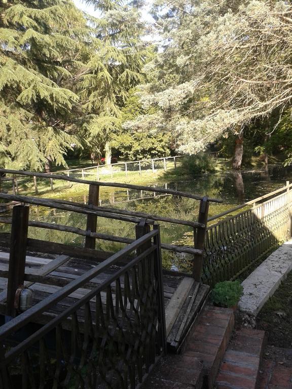 Вілла Il Vecchio Mulino Масса-Мартана Номер фото